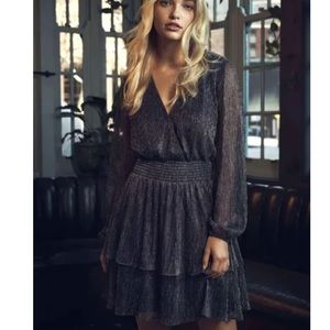 Ever New Shimmer Dress